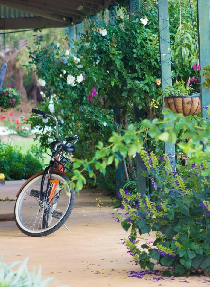 Freshwater Creek Cottages & Farm Stay Torquay Zewnętrze zdjęcie