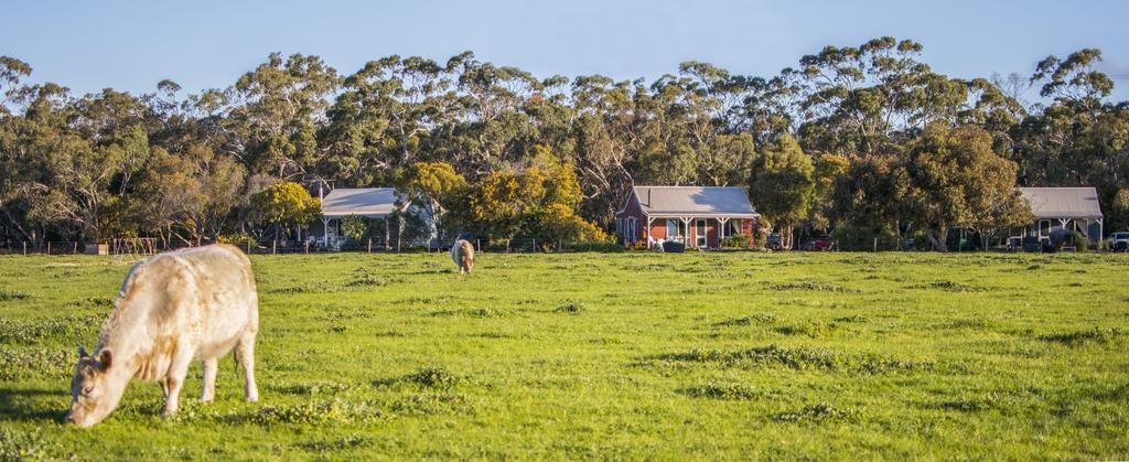 Freshwater Creek Cottages & Farm Stay Torquay Zewnętrze zdjęcie